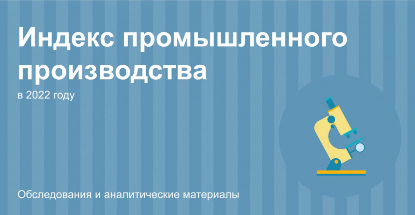 Об индексе промышленного производства в Мурманской области в 2022 году